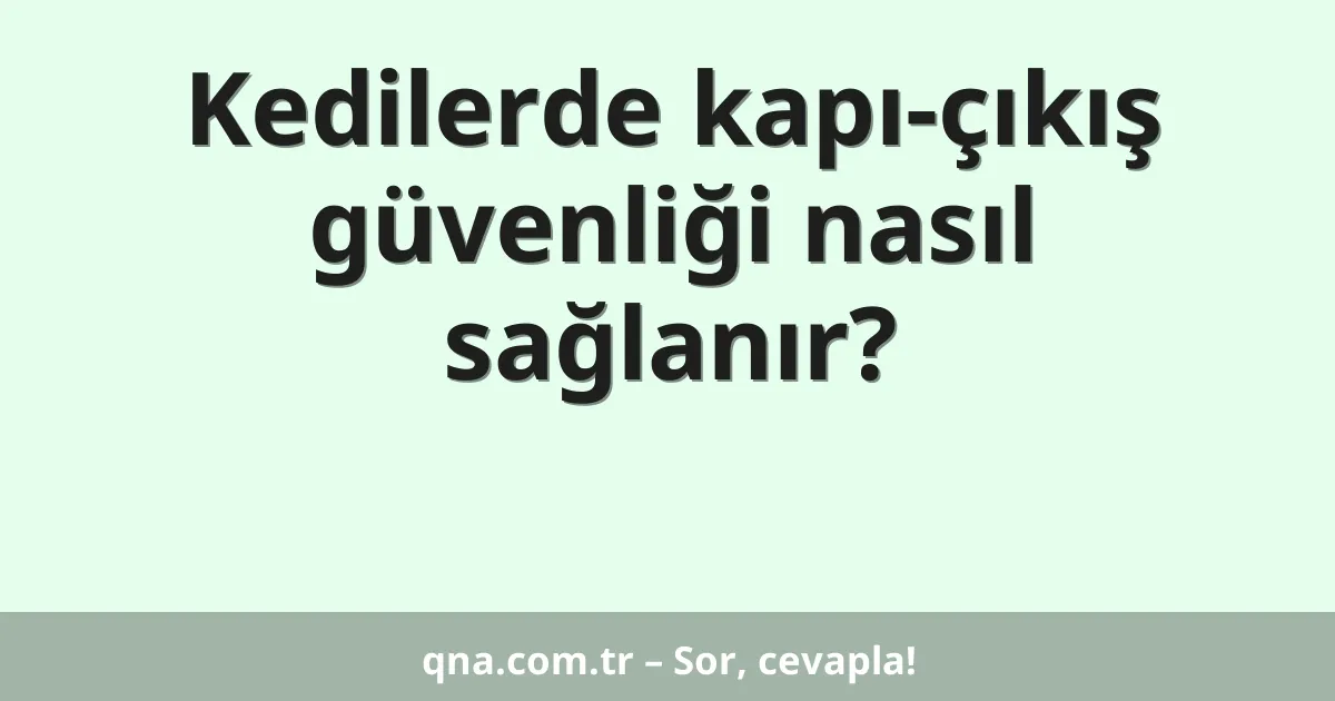 Kedilerde kapı-çıkış güvenliği nasıl sağlanır?