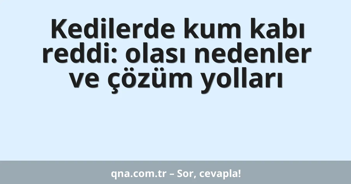 Kedilerde kum kabı reddi: olası nedenler ve çözüm yolları
