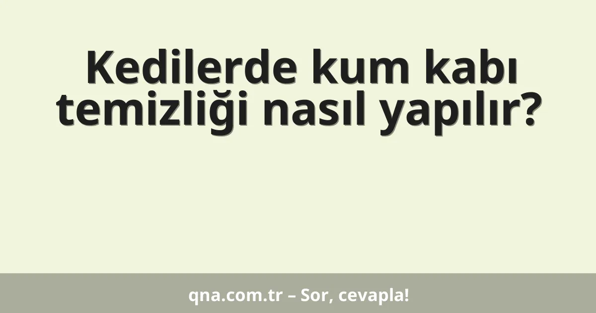 Kedilerde kum kabı temizliği nasıl yapılır?