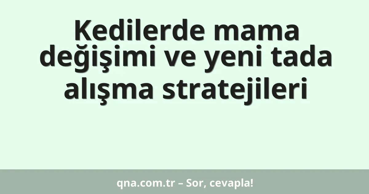 Kedilerde mama değişimi ve yeni tada alışma stratejileri