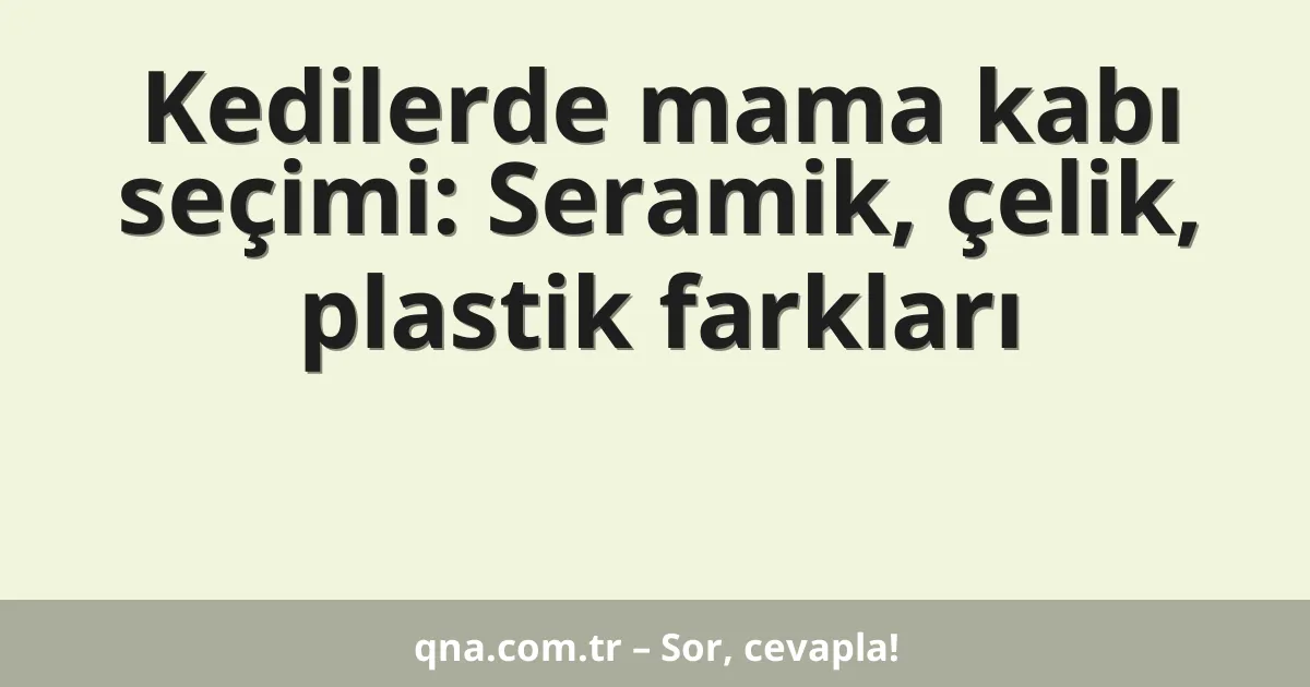 Kedilerde mama kabı seçimi: Seramik, çelik, plastik farkları