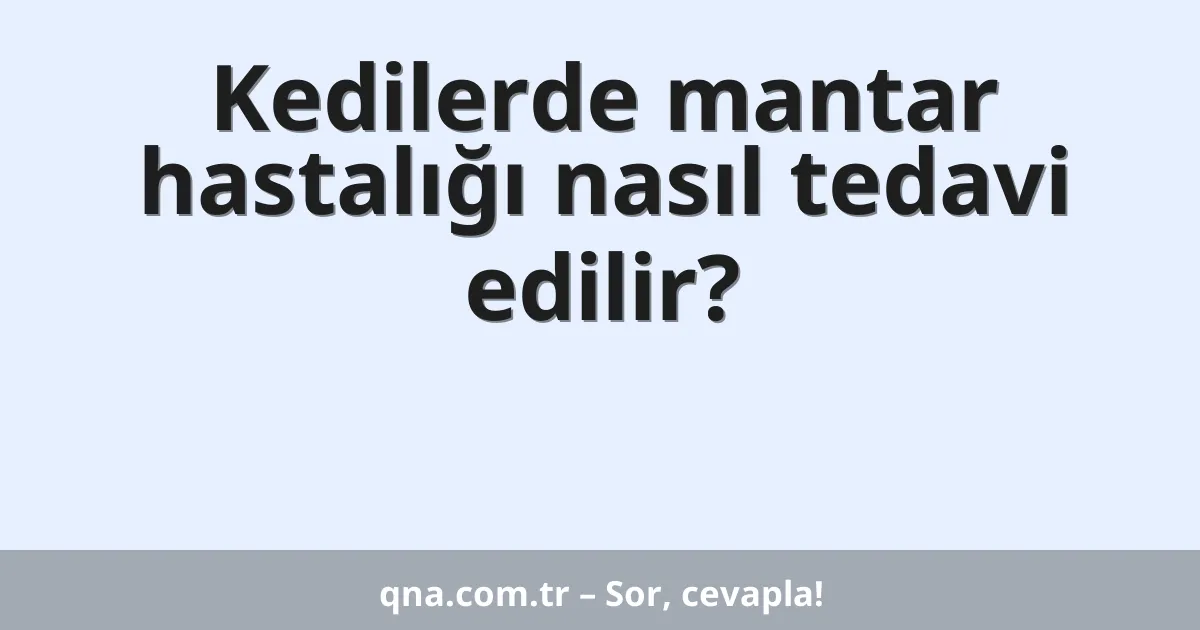 Kedilerde mantar hastalığı nasıl tedavi edilir?