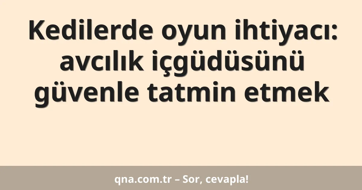 Kedilerde oyun ihtiyacı: avcılık içgüdüsünü güvenle tatmin etmek