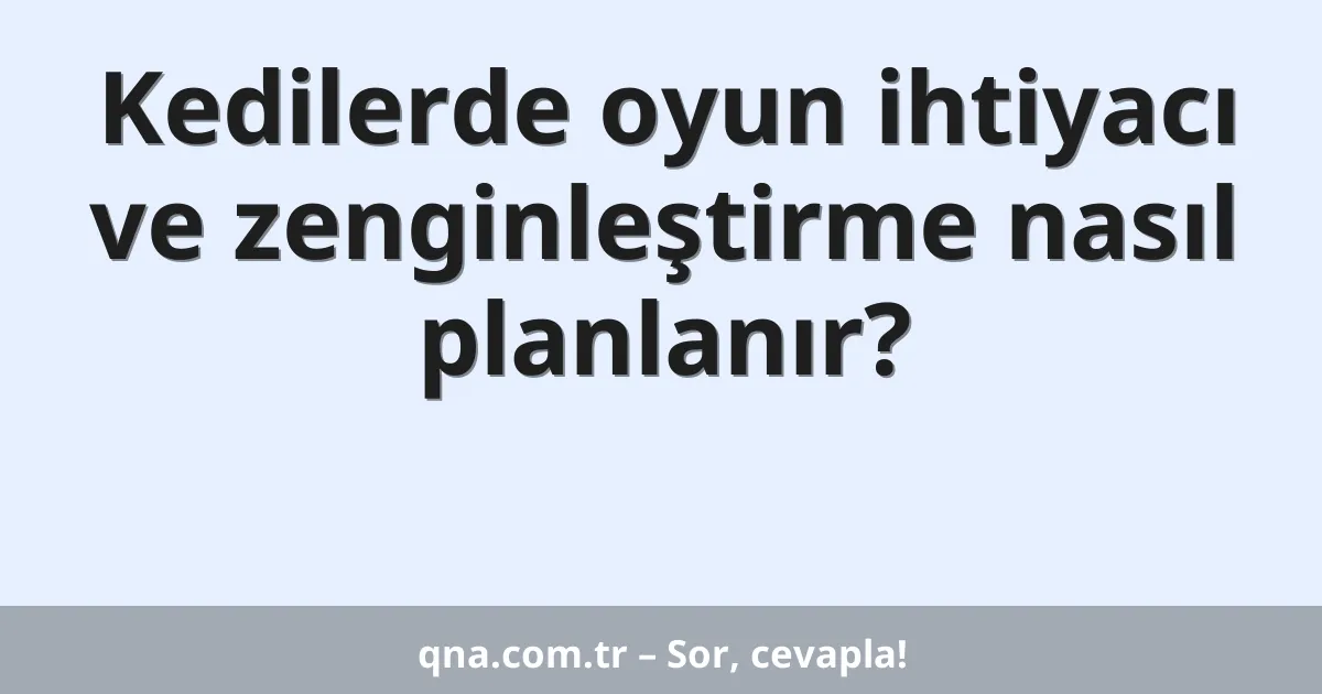 Kedilerde oyun ihtiyacı ve zenginleştirme nasıl planlanır?