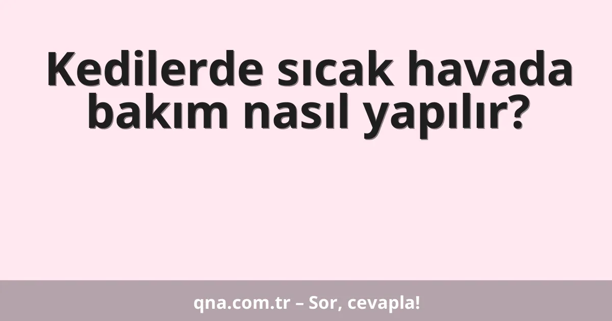 Kedilerde sıcak havada bakım nasıl yapılır?