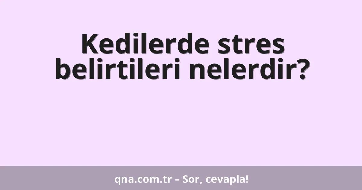 Kedilerde stres belirtileri nelerdir?