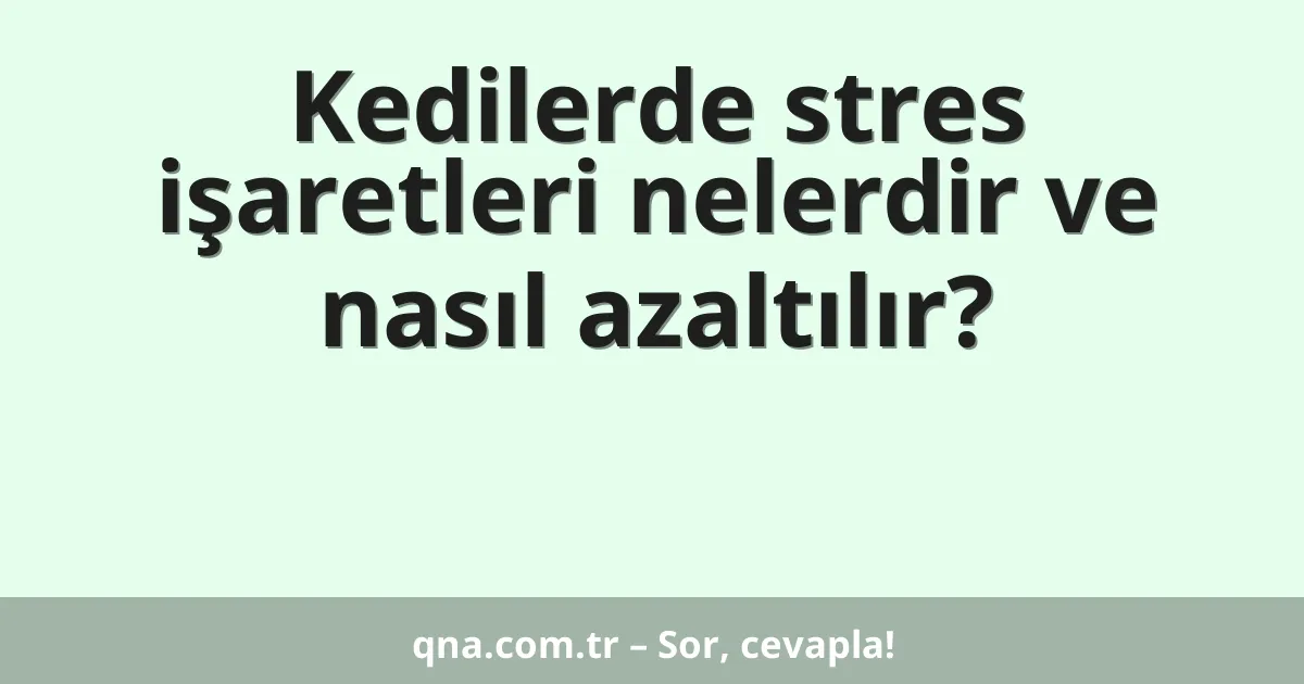 Kedilerde stres işaretleri nelerdir ve nasıl azaltılır?