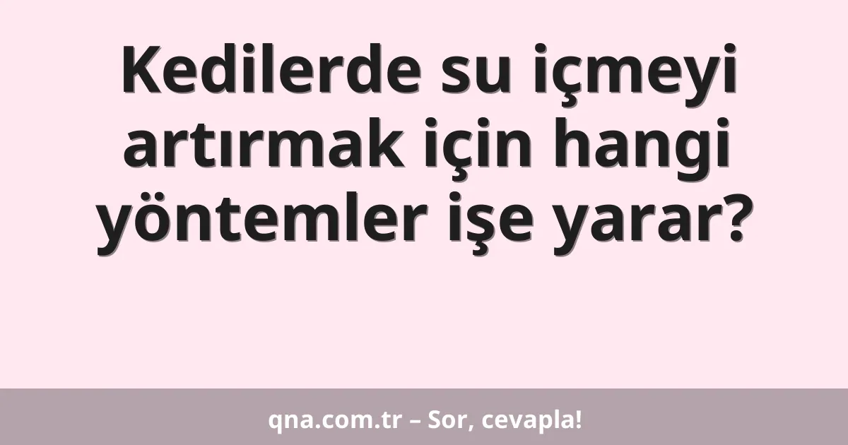 Kedilerde su içmeyi artırmak için hangi yöntemler işe yarar?