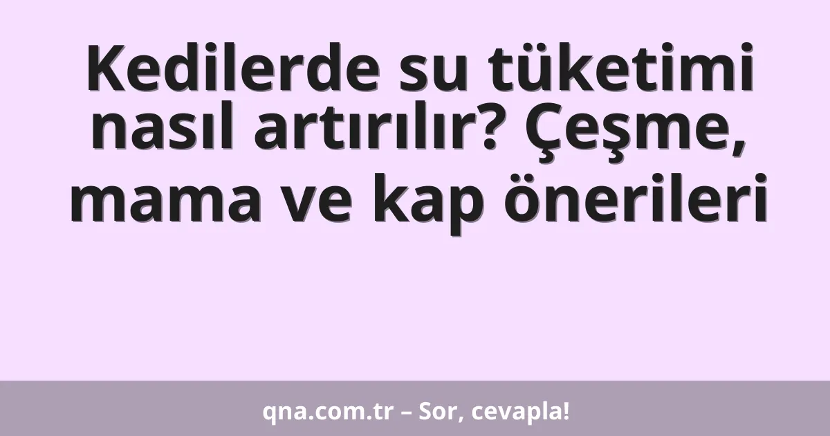 Kedilerde su tüketimi nasıl artırılır? Çeşme, mama ve kap önerileri