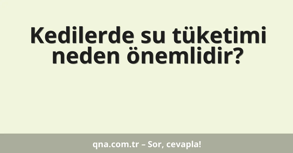 Kedilerde su tüketimi neden önemlidir?