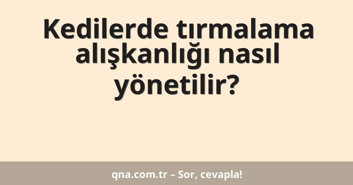 Kedilerde tırmalama alışkanlığı nasıl yönetilir?