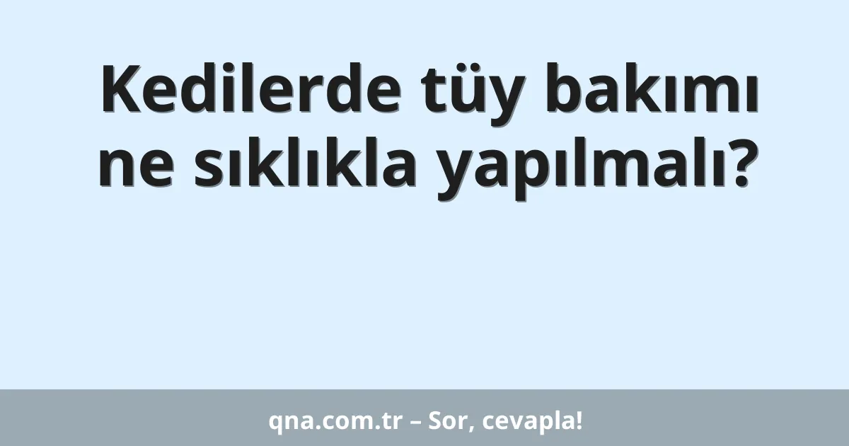 Kedilerde tüy bakımı ne sıklıkla yapılmalı?