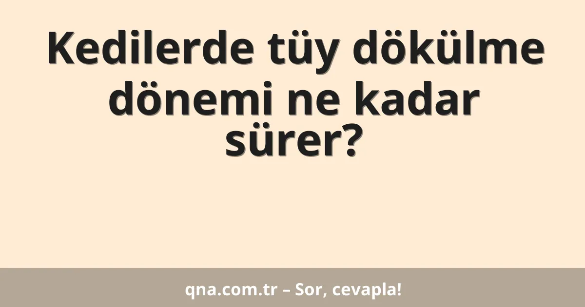 Kedilerde tüy dökülme dönemi ne kadar sürer?