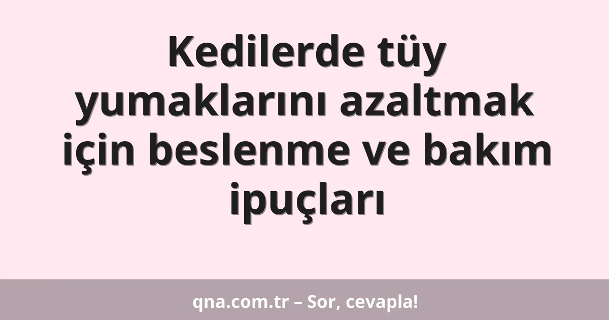 Kedilerde tüy yumaklarını azaltmak için beslenme ve bakım ipuçları