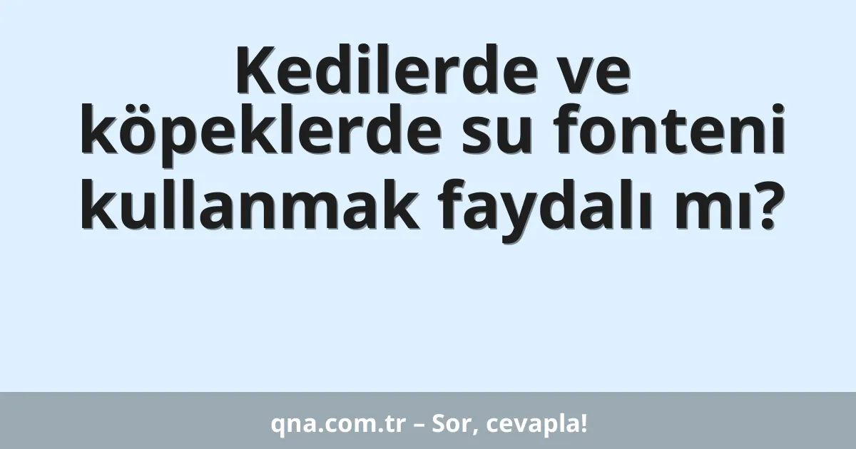Kedilerde ve köpeklerde su fonteni kullanmak faydalı mı?