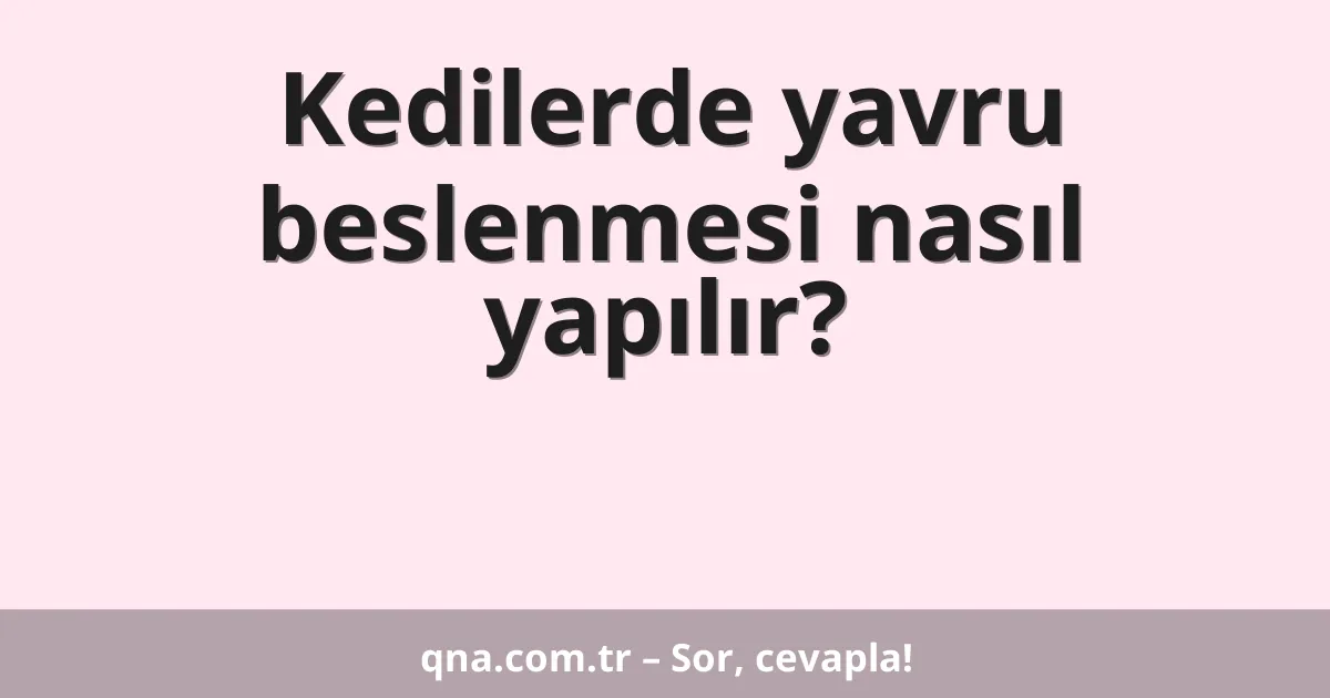 Kedilerde yavru beslenmesi nasıl yapılır?