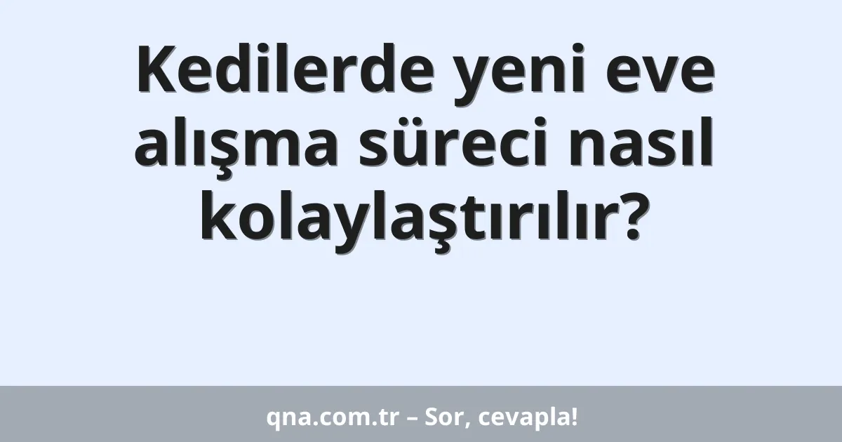 Kedilerde yeni eve alışma süreci nasıl kolaylaştırılır?