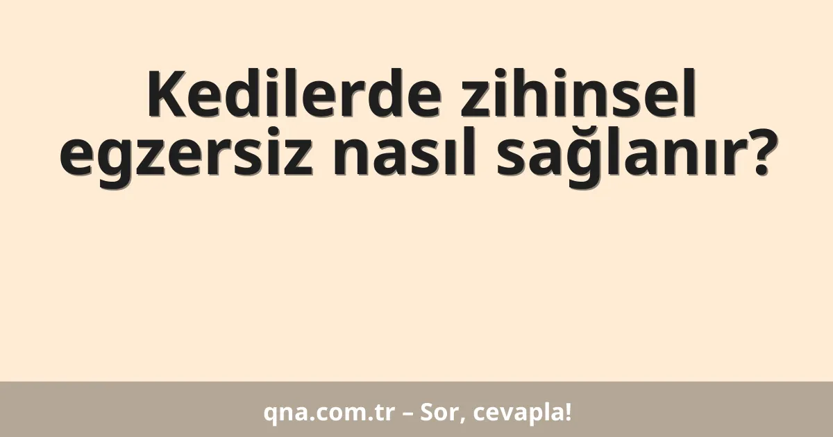 Kedilerde zihinsel egzersiz nasıl sağlanır?