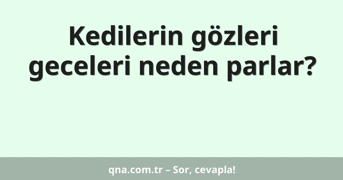 Kedilerin gözleri geceleri neden parlar?