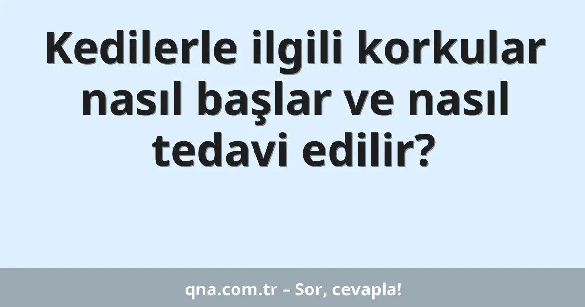 Kedilerle ilgili korkular nasıl başlar ve nasıl tedavi edilir?