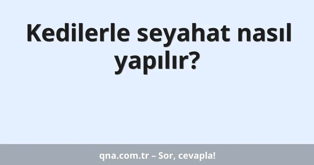 Kedilerle seyahat nasıl yapılır?