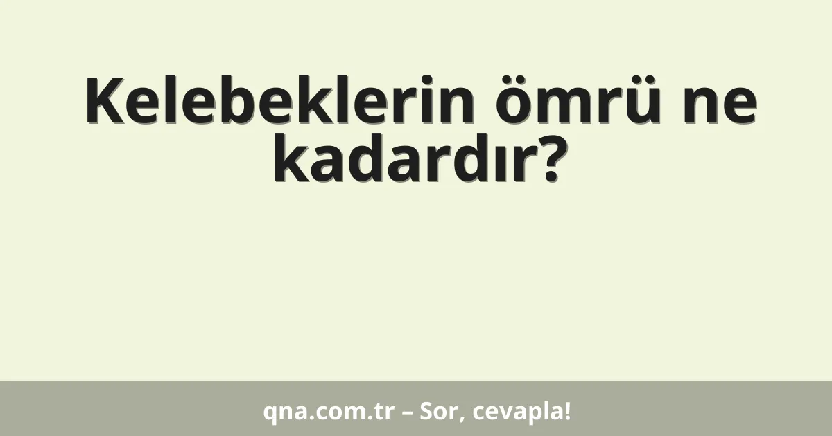 Kelebeklerin ömrü ne kadardır?