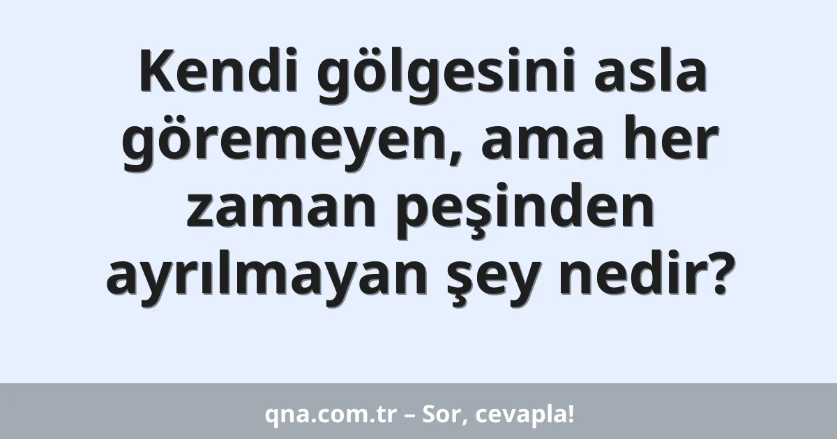 Kendi gölgesini asla göremeyen, ama her zaman peşinden ayrılmayan şey nedir?