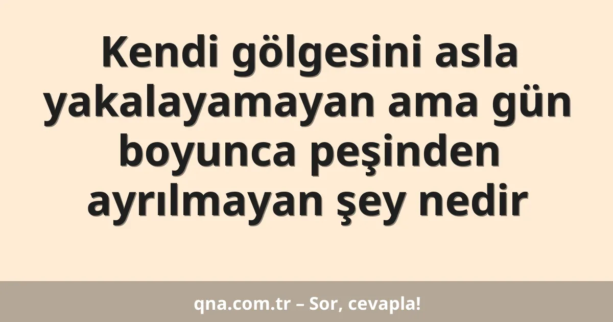 Kendi gölgesini asla yakalayamayan ama gün boyunca peşinden ayrılmayan şey nedir
