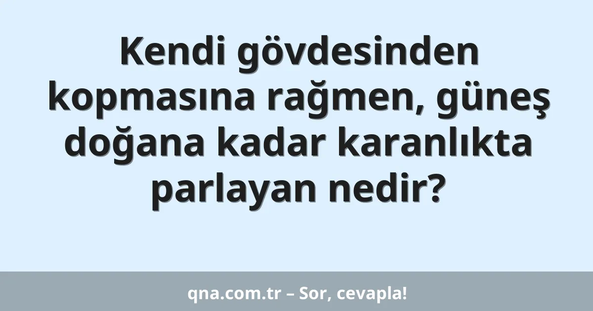 Kendi gövdesinden kopmasına rağmen, güneş doğana kadar karanlıkta parlayan nedir?