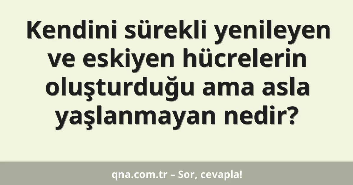 Kendini sürekli yenileyen ve eskiyen hücrelerin oluşturduğu ama asla yaşlanmayan nedir?