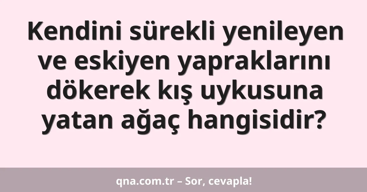 Kendini sürekli yenileyen ve eskiyen yapraklarını dökerek kış uykusuna yatan ağaç hangisidir?