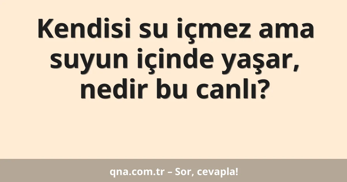 Kendisi su içmez ama suyun içinde yaşar, nedir bu canlı?