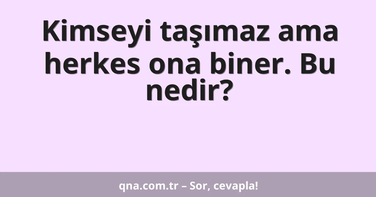 Kimseyi taşımaz ama herkes ona biner. Bu nedir?