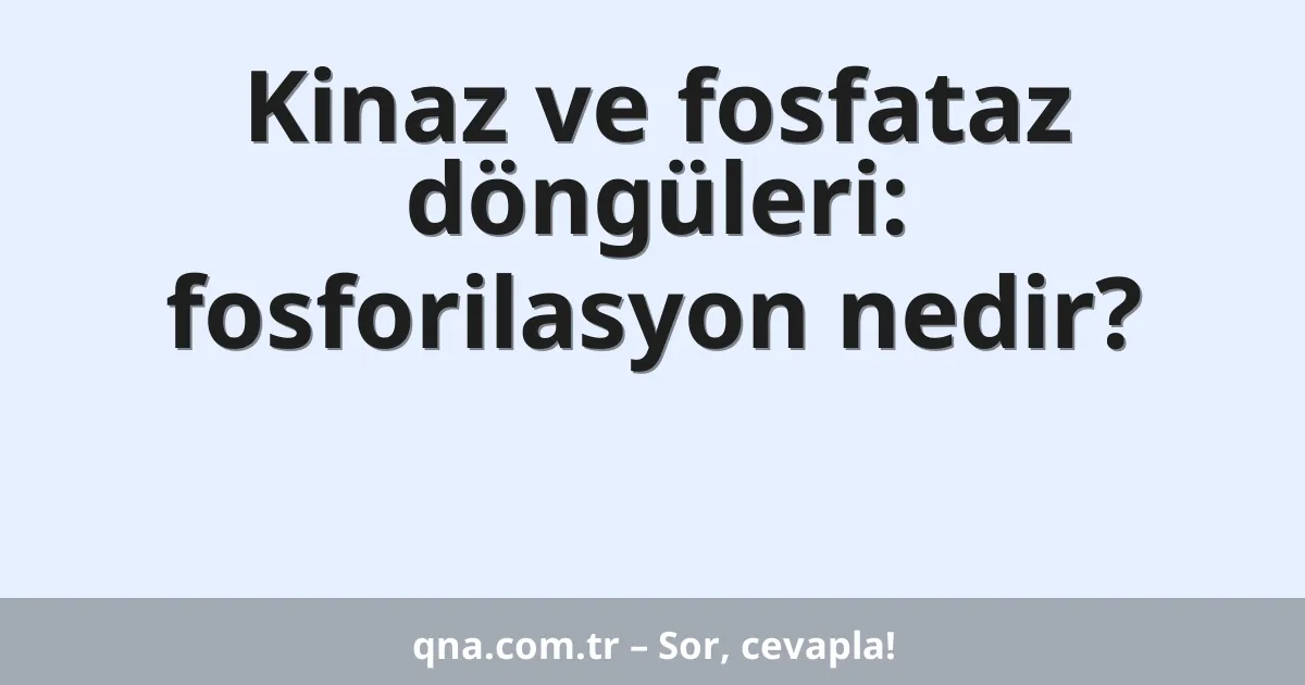 Kinaz ve fosfataz döngüleri: fosforilasyon nedir?