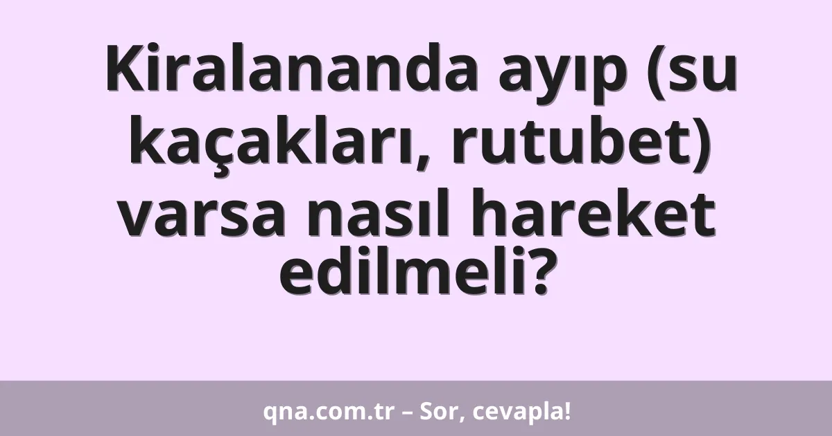 Kiralananda ayıp (su kaçakları, rutubet) varsa nasıl hareket edilmeli?