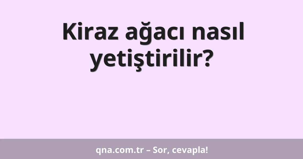 Kiraz ağacı nasıl yetiştirilir?