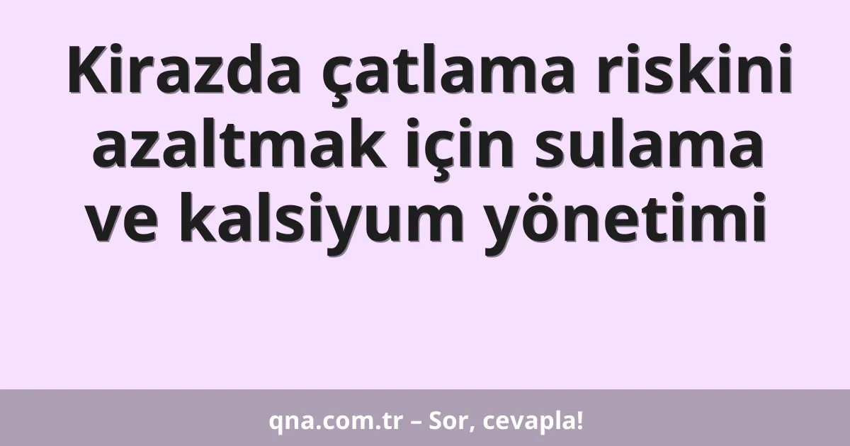 Kirazda çatlama riskini azaltmak için sulama ve kalsiyum yönetimi