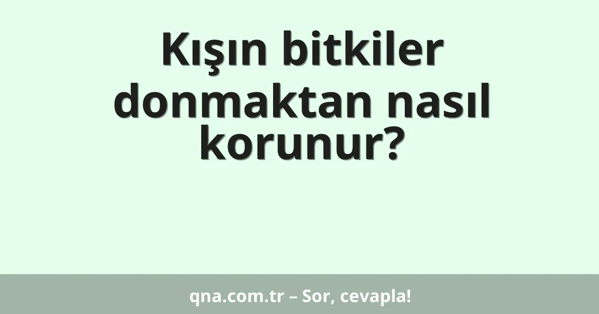 Kışın bitkiler donmaktan nasıl korunur?