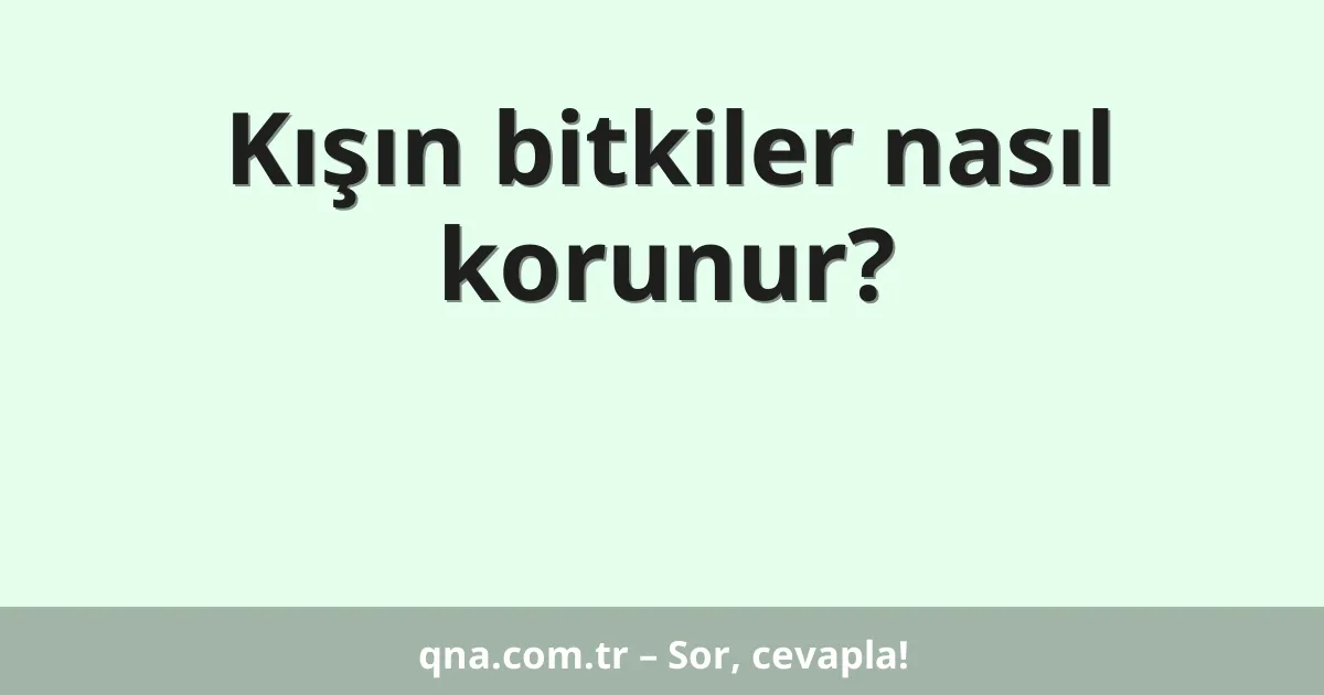 Kışın bitkiler nasıl korunur?