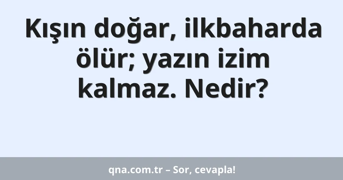Kışın doğar, ilkbaharda ölür; yazın izim kalmaz. Nedir?