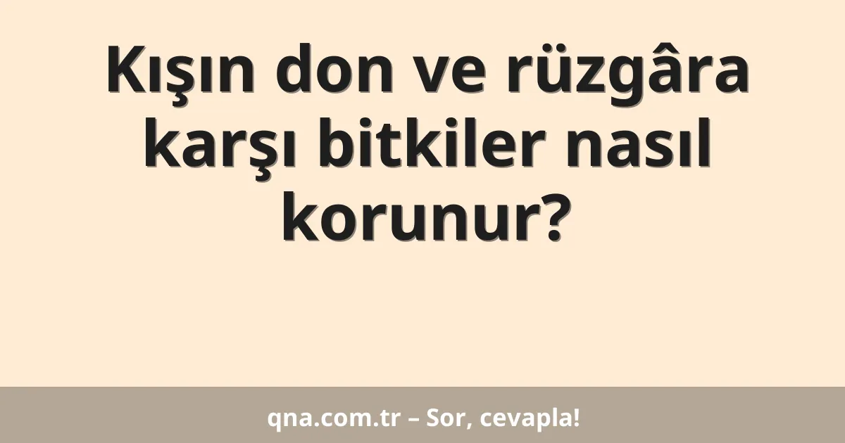 Kışın don ve rüzgâra karşı bitkiler nasıl korunur?
