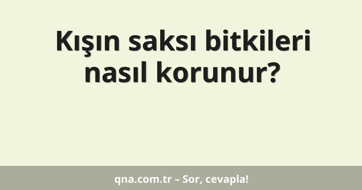 Kışın saksı bitkileri nasıl korunur?