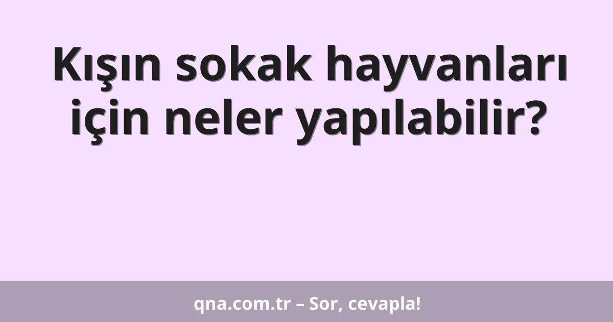 Kışın sokak hayvanları için neler yapılabilir?