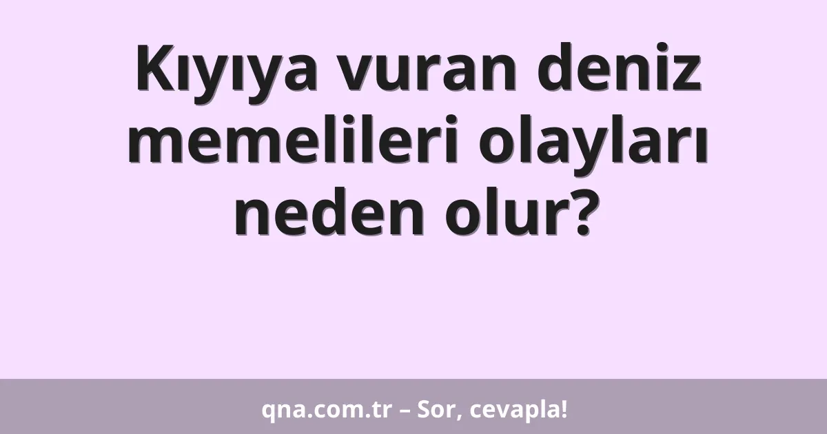 Kıyıya vuran deniz memelileri olayları neden olur?