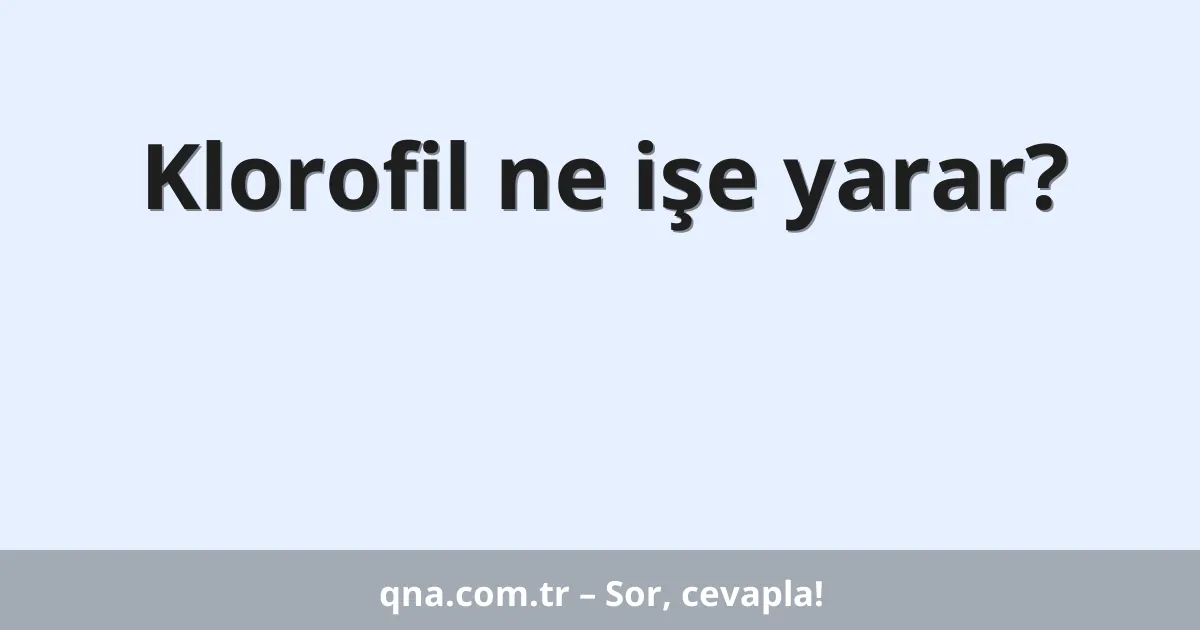 Klorofil ne işe yarar?