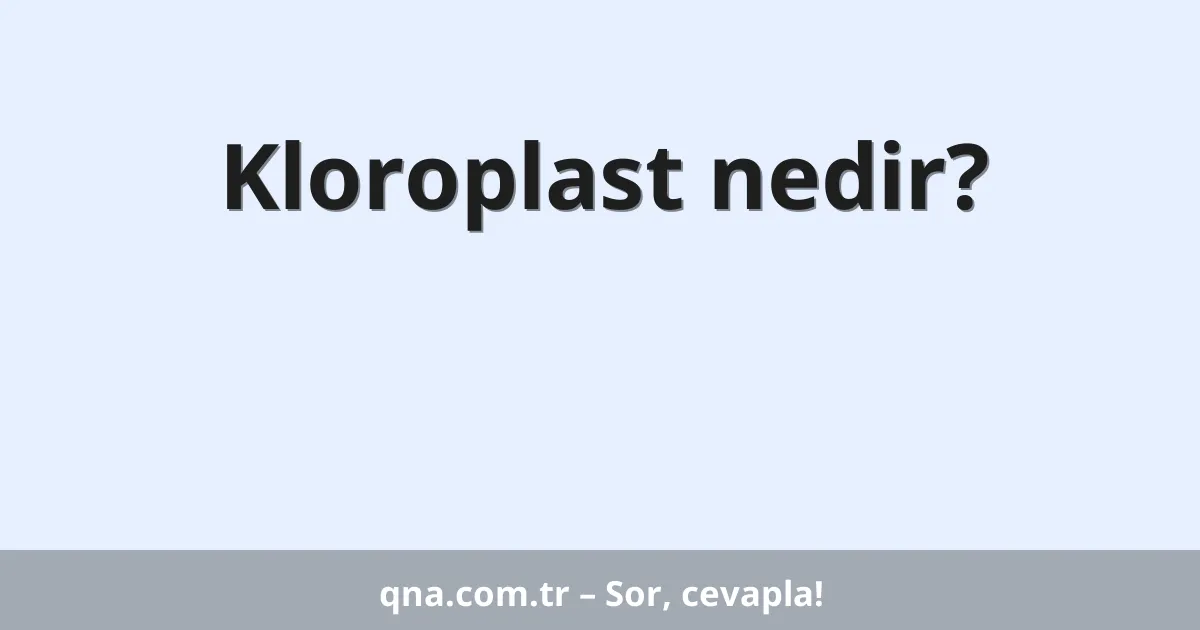 Kloroplast nedir?