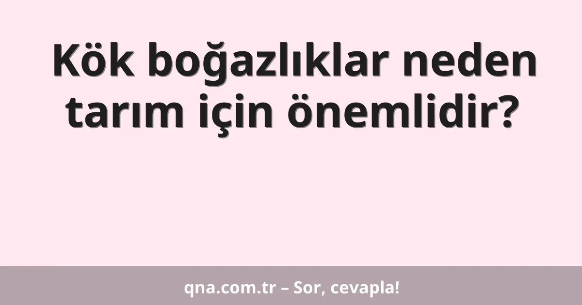 Kök boğazlıklar neden tarım için önemlidir?