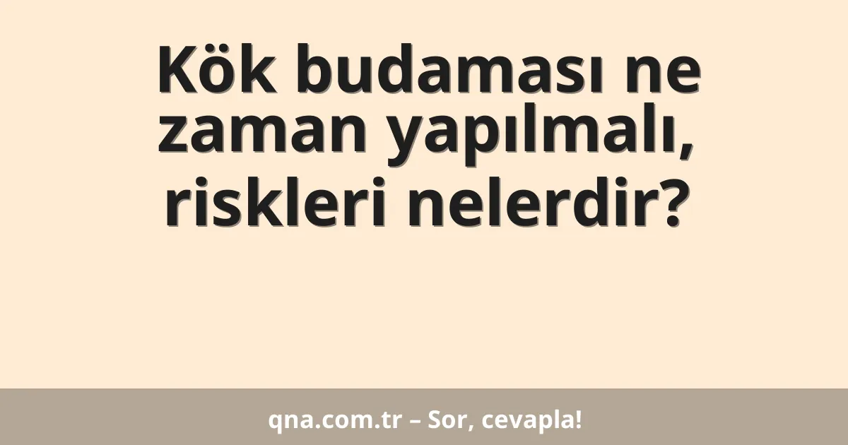 Kök budaması ne zaman yapılmalı, riskleri nelerdir?