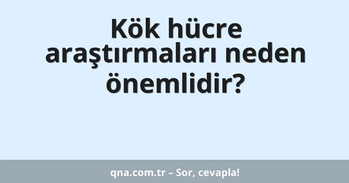 Kök hücre araştırmaları neden önemlidir?