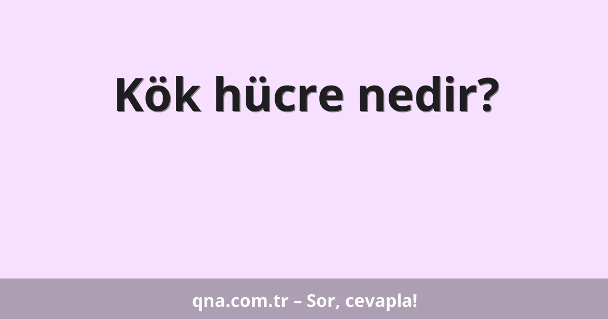 Kök hücre nedir?